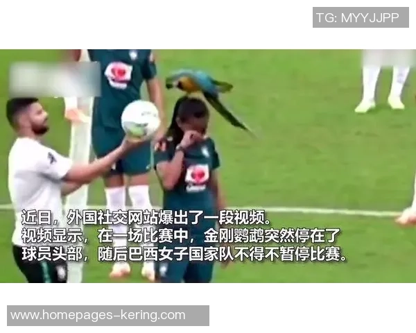 U19瑞士与爱尔兰激战正酣谁能在青春赛场上笑到最后